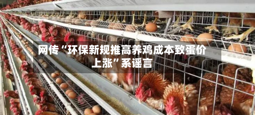 网传“环保新规推高养鸡成本致蛋价上涨	”系谣言-第3张图片