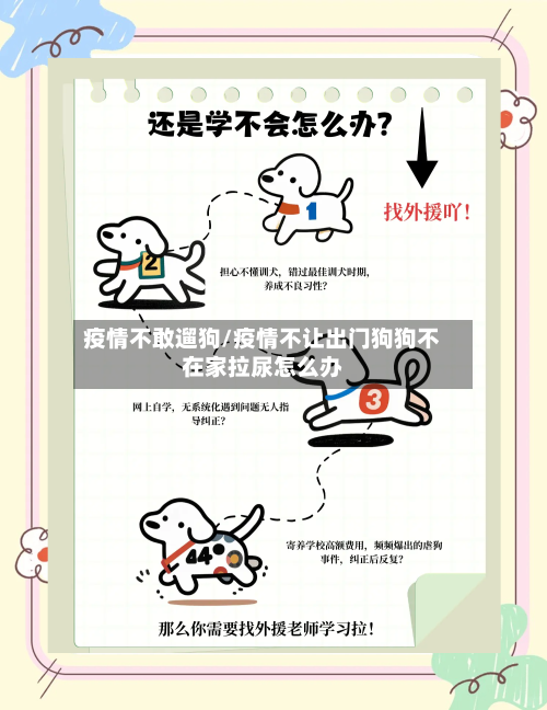 疫情不敢遛狗/疫情不让出门狗狗不在家拉尿怎么办