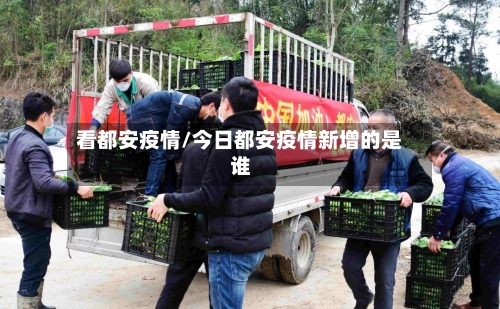 看都安疫情/今日都安疫情新增的是谁-第2张图片