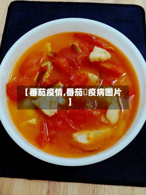 【蕃茄疫情,番茄睌疫病图片】-第2张图片