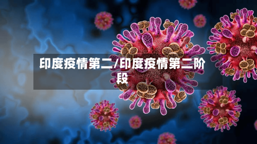 印度疫情第二/印度疫情第二阶段-第2张图片