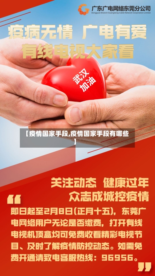 【疫情国家手段,疫情国家手段有哪些】-第2张图片