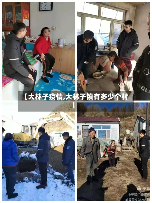 【大林子疫情,大林子镇有多少个村】