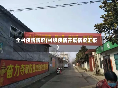 全村疫情情况(村级疫情开展情况汇报)