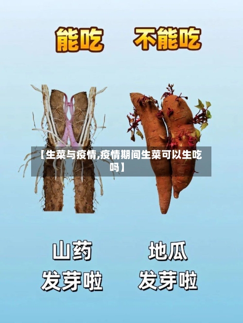 【生菜与疫情,疫情期间生菜可以生吃吗】