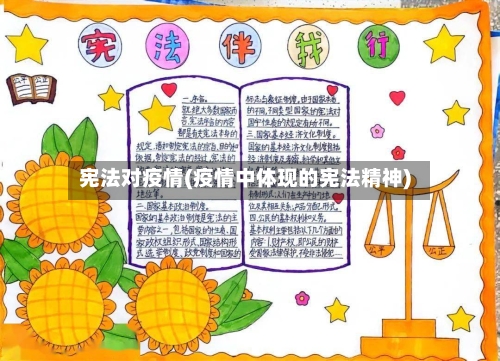 宪法对疫情(疫情中体现的宪法精神)