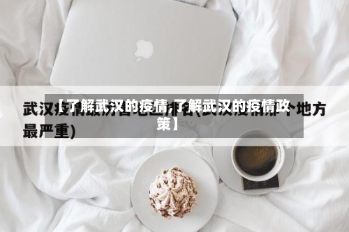 【了解武汉的疫情,了解武汉的疫情政策】