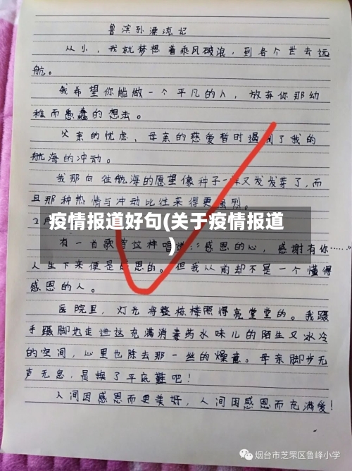 疫情报道好句(关于疫情报道)