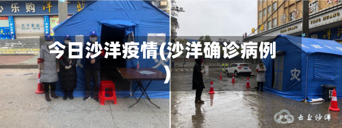 今日沙洋疫情(沙洋确诊病例)