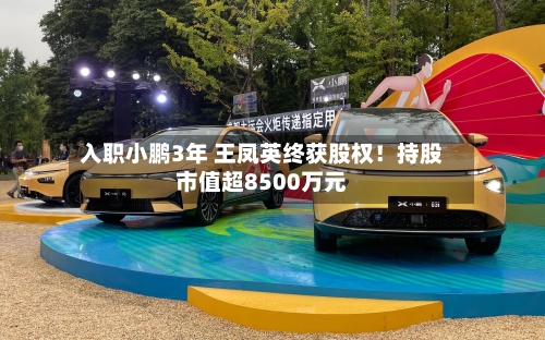 入职小鹏3年 王凤英终获股权！持股市值超8500万元