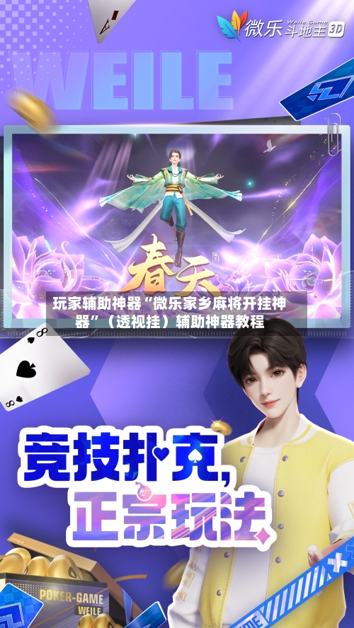 玩家辅助神器“微乐家乡麻将开挂神器”（透视挂）辅助神器教程