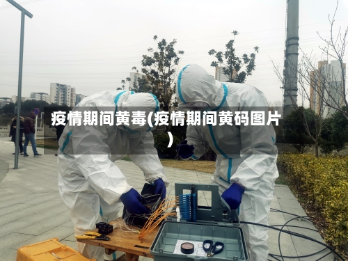 疫情期间黄毒(疫情期间黄码图片)