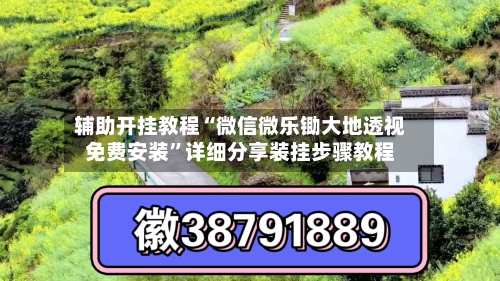 辅助开挂教程“微信微乐锄大地透视免费安装”详细分享装挂步骤教程