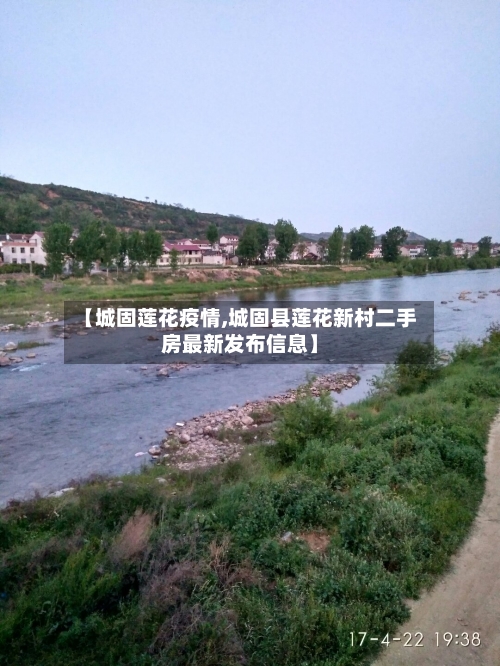 【城固莲花疫情,城固县莲花新村二手房最新发布信息】