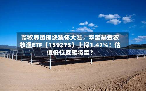 畜牧养殖板块集体大涨，华宝基金农牧渔ETF（159275）上探1.47%！估值低位反转将至？