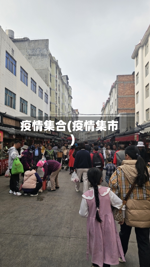 疫情集合(疫情集市)
