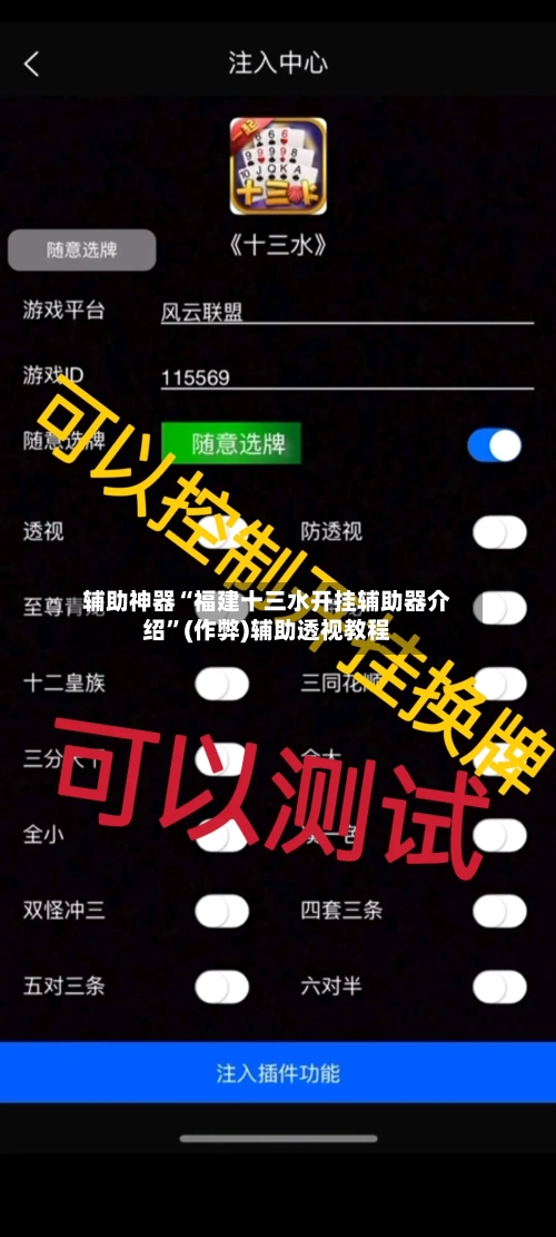 辅助神器“福建十三水开挂辅助器介绍”(作弊)辅助透视教程