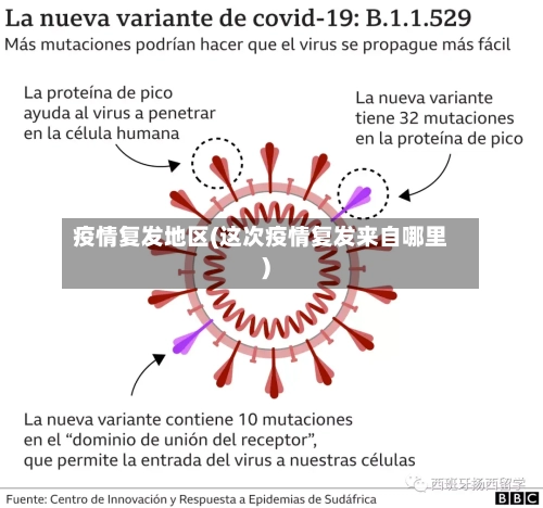 疫情复发地区(这次疫情复发来自哪里)