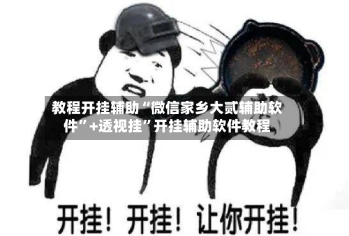 教程开挂辅助“微信家乡大贰辅助软件”+透视挂”开挂辅助软件教程