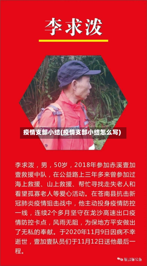 疫情支部小结(疫情支部小结怎么写)