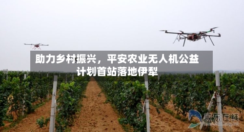 助力乡村振兴，平安农业无人机公益计划首站落地伊犁