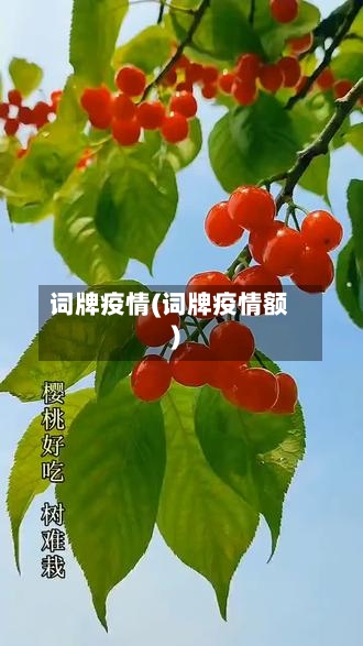 词牌疫情(词牌疫情额)