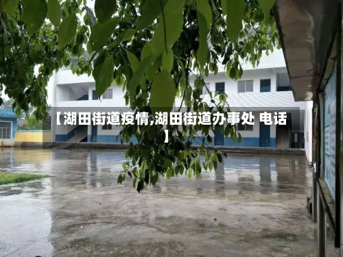 【湖田街道疫情,湖田街道办事处 电话】
