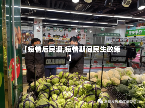 【疫情后民调,疫情期间民生政策】