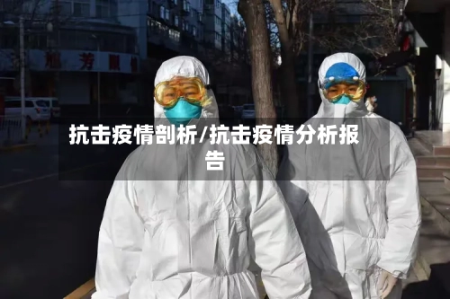 抗击疫情剖析/抗击疫情分析报告