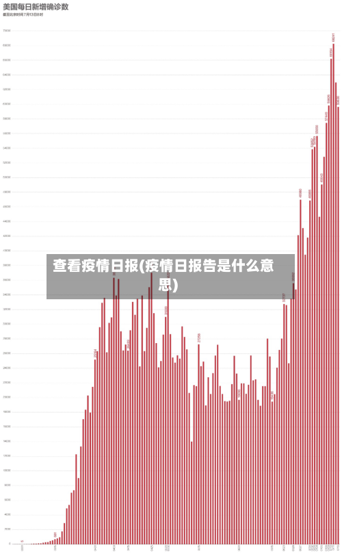 查看疫情日报(疫情日报告是什么意思)
