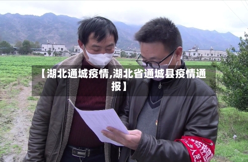 【湖北通城疫情,湖北省通城县疫情通报】