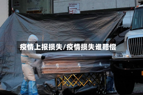 疫情上报损失/疫情损失谁赔偿