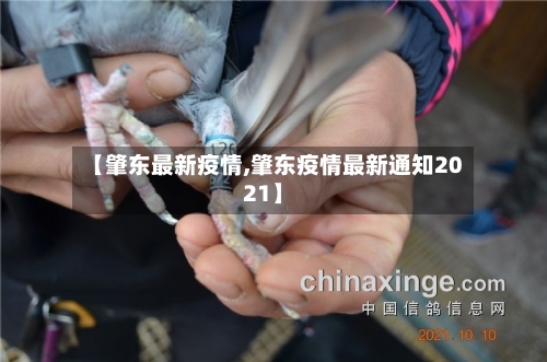 【肇东最新疫情,肇东疫情最新通知2021】