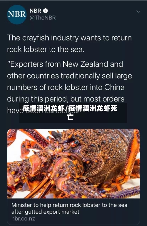 疫情澳洲龙虾/疫情澳洲龙虾死亡