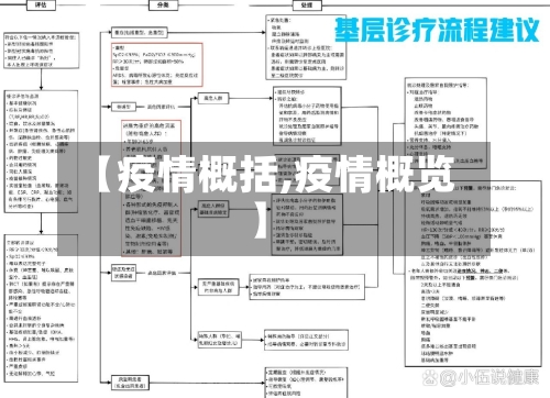 【疫情概括,疫情概览】