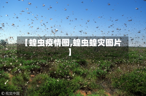 【蝗虫疫情图,蝗虫蝗灾图片】