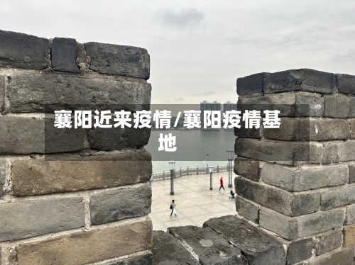 襄阳近来疫情/襄阳疫情基地