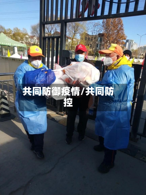 共同防御疫情/共同防控