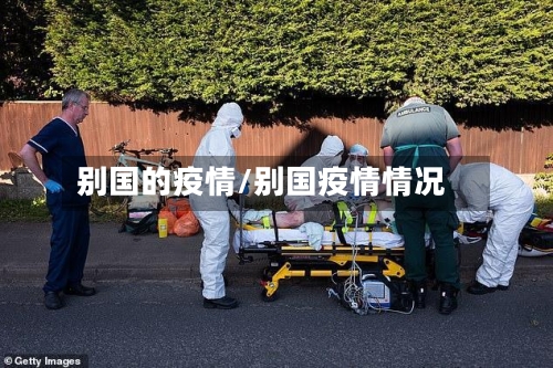 别国的疫情/别国疫情情况