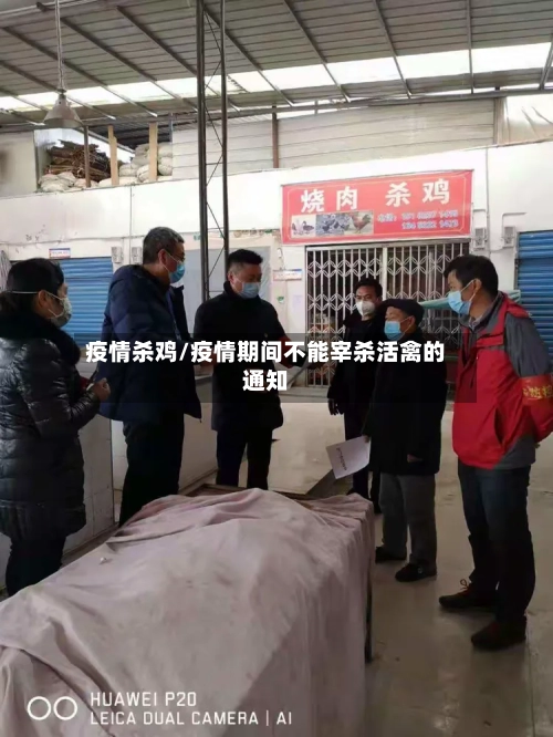 疫情杀鸡/疫情期间不能宰杀活禽的通知