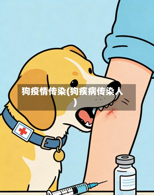 狗疫情传染(狗疾病传染人)