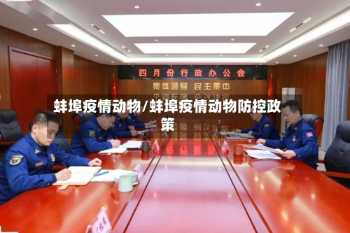 蚌埠疫情动物/蚌埠疫情动物防控政策