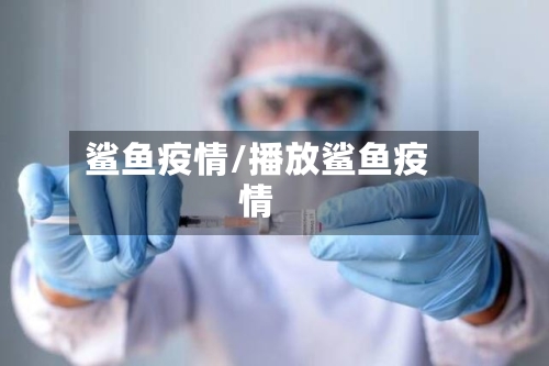 鲨鱼疫情/播放鲨鱼疫情