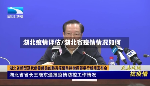 湖北疫情评估/湖北省疫情情况如何