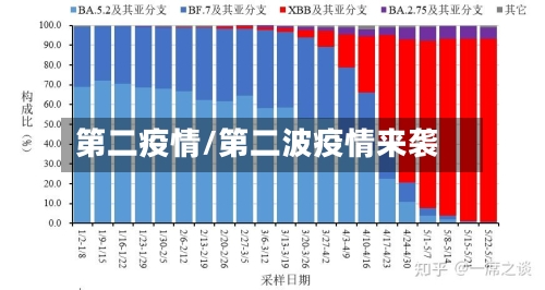 第二疫情/第二波疫情来袭