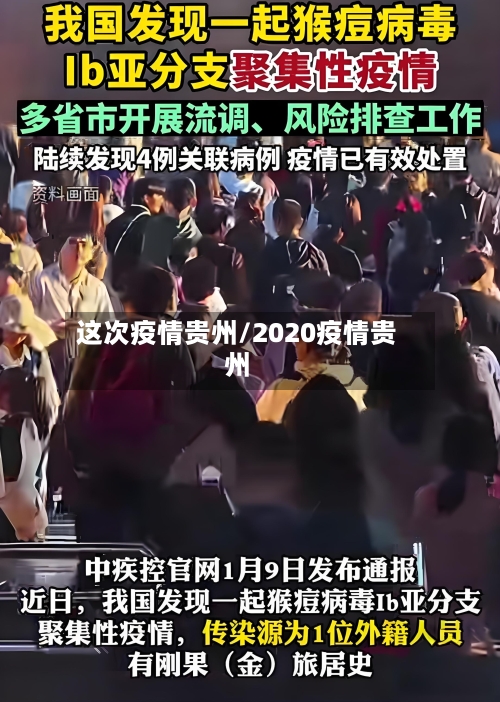 这次疫情贵州/2020疫情贵州
