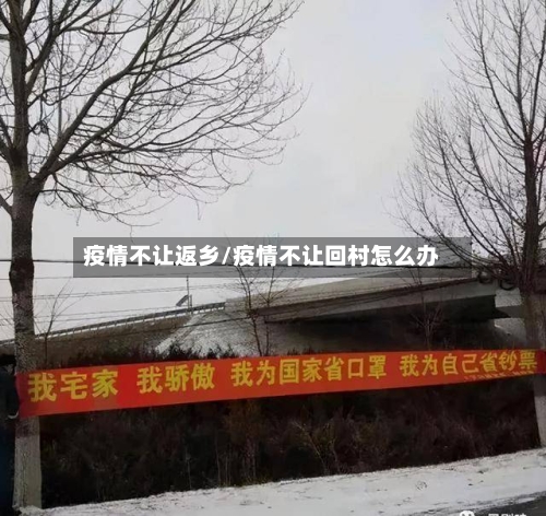 疫情不让返乡/疫情不让回村怎么办
