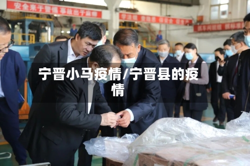 宁晋小马疫情/宁晋县的疫情