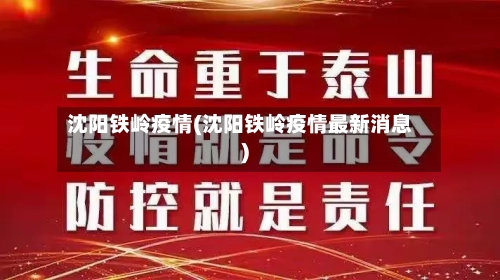 沈阳铁岭疫情(沈阳铁岭疫情最新消息)