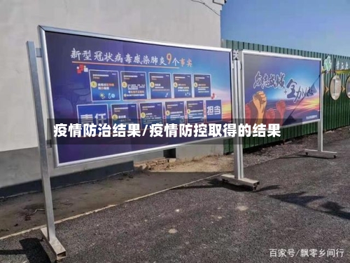 疫情防治结果/疫情防控取得的结果